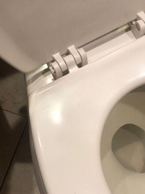 Hair on toilet seat