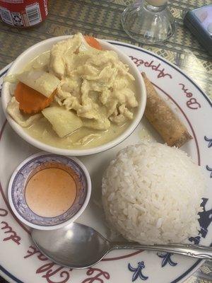 Yellow curry lunch size