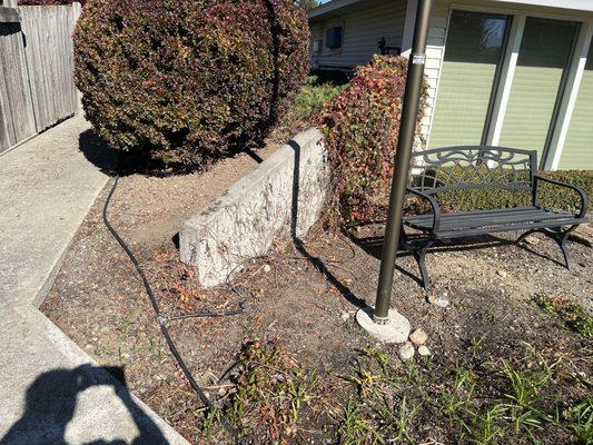 2 of the 4 Boston Ivy Plants were killed and their was drift that killed the bottom of the Juniper directly behind the retaining wall.