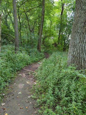 Dirt path along the Fox River