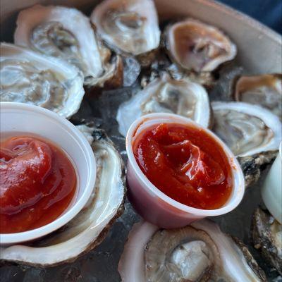 A dozen oysters on a half shell