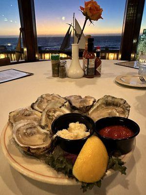 Oysters on the half shell