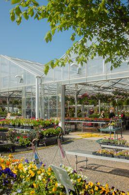 Abrahamson Nurseries