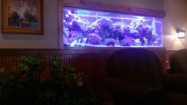 Fish tank in the waiting area.