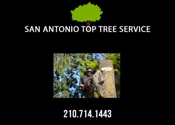 Commercial Tree Removal