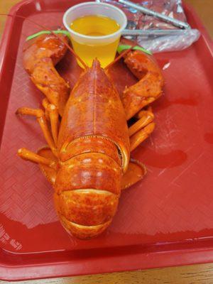 Steamed lobster