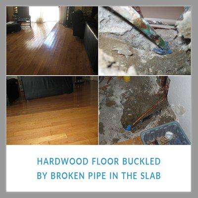 Hardwood Floor Buckled