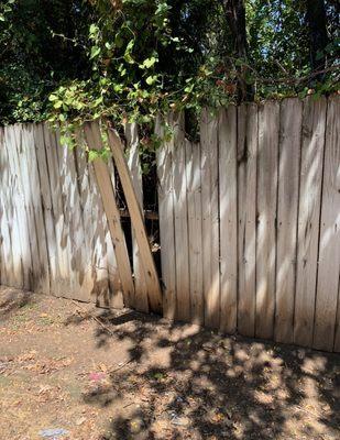 Broken fence