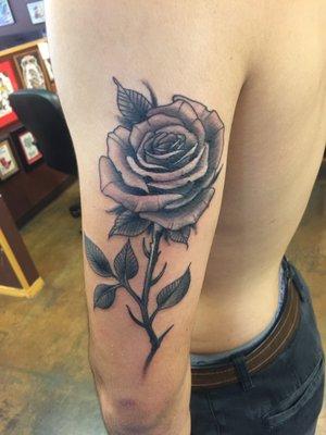 Black and grey rose