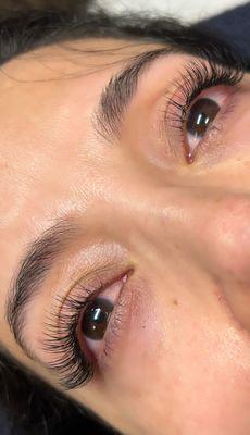 Classic Lashes $120