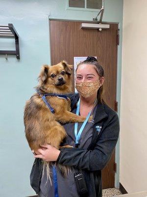 CVT Erin with our dog Jax, making his appointment more comfortable - thank you again!