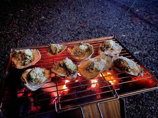 Chesapeake Bay oysters Rockefeller