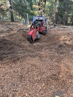 Stump grinding