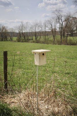 Bird houses