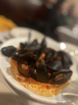 Mussels