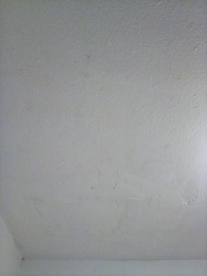 mold grew back hasn't replaced asked no results