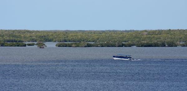 Everglades National Park Boat Tour