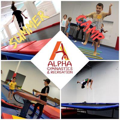 Alpha Gymnastics & Recreation