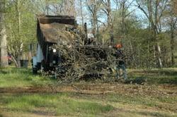 Tree Removal