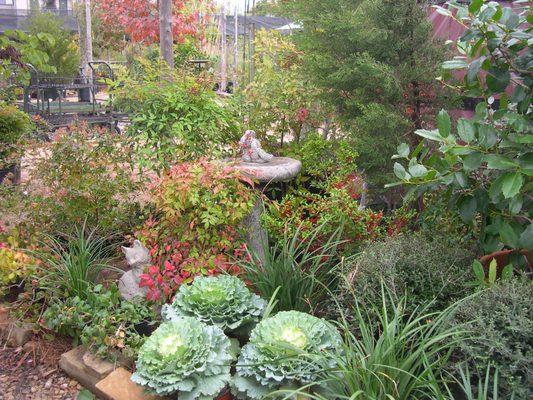 Rohde's Organic Landscape Services