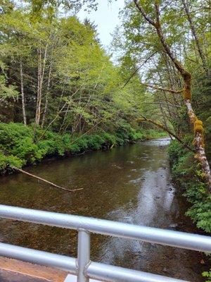 Lovely view of the creek