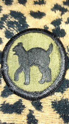 A wild cat from the 81st Airborne Division, U.S. Army