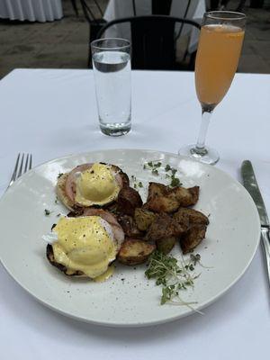 Eggs Benedict