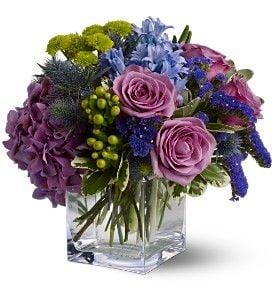 Bold Purples and Greens in a Clear Glass Cube Vase.