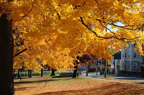 Fletcher St, Lowell