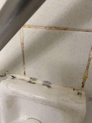 Mold in the shower wall