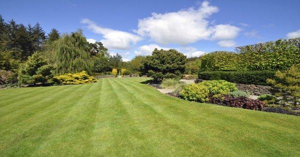 Beautiful Lawn And Tree Care