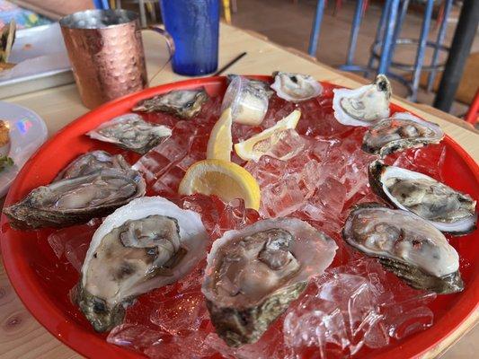 Oysters on the half shell