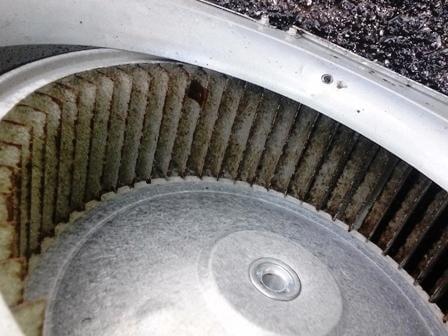 Clean fan motor