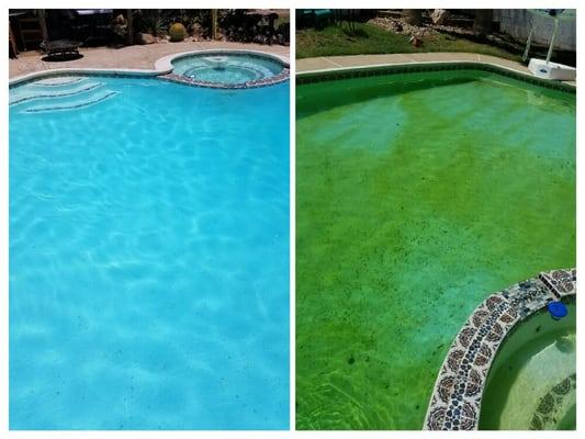 We turned this pool from unsafe and nasty to beautiful blue in just two days