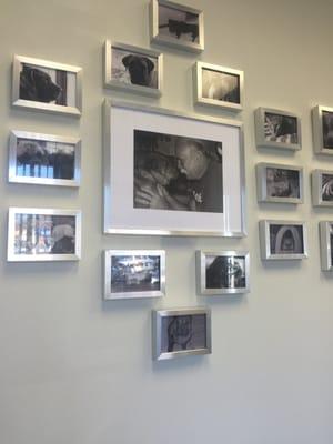 Wall of fame in reception area