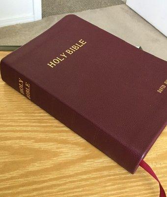 Rebound Bible