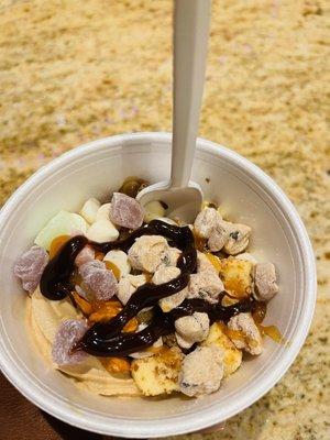 The Skinny Dip Frozen Yogurt Bar