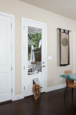 Replacement Door W/Dog