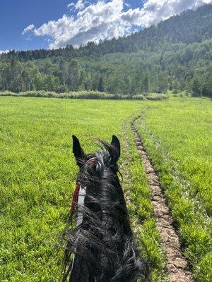 Teton Village Trail Rides