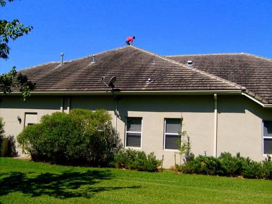 Dirty flat cement tile Roof in Tampa Palms 33647