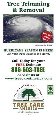 For a limited time only! 20% OFF all tree work!