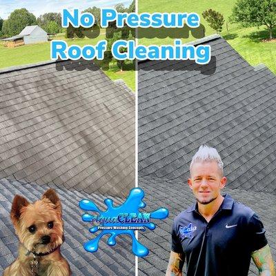 Get a root shampoo today. This not only takes away the ugly, but it restores the laugh and integrity of your home and roof.