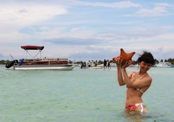 Sea Stars spotted at Sandbar!