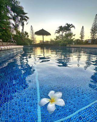 Ready for a swim? Kapalua Golf Villa's serene pool near sunset.