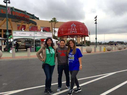 Showing our support at the Arthritis Foundation Walk at Angel Stadium! May 2016