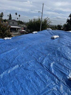 Tarp services