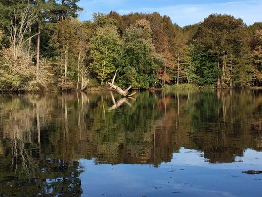 Chickahominy Lake is very tranquil