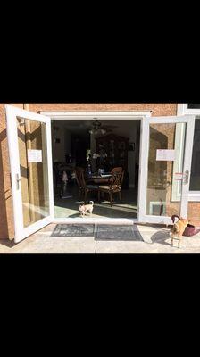 The dogs love the new French doors