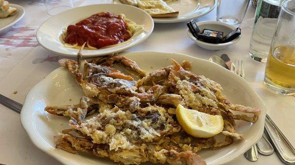 Soft Shell Crabs In Season