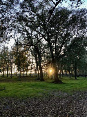 Beautiful evening on the Ranch!